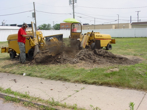 ./Gallery/2011 Bennet Lot Tree Removal/DSC06479.JPG